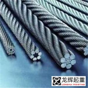 ���˱��o(h��)���ؙC(j��)е�g�P�|�K�����_�������Ď����