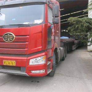 2018010004 �ι��_(d��) ����늄Ӻ��JBCD10-30